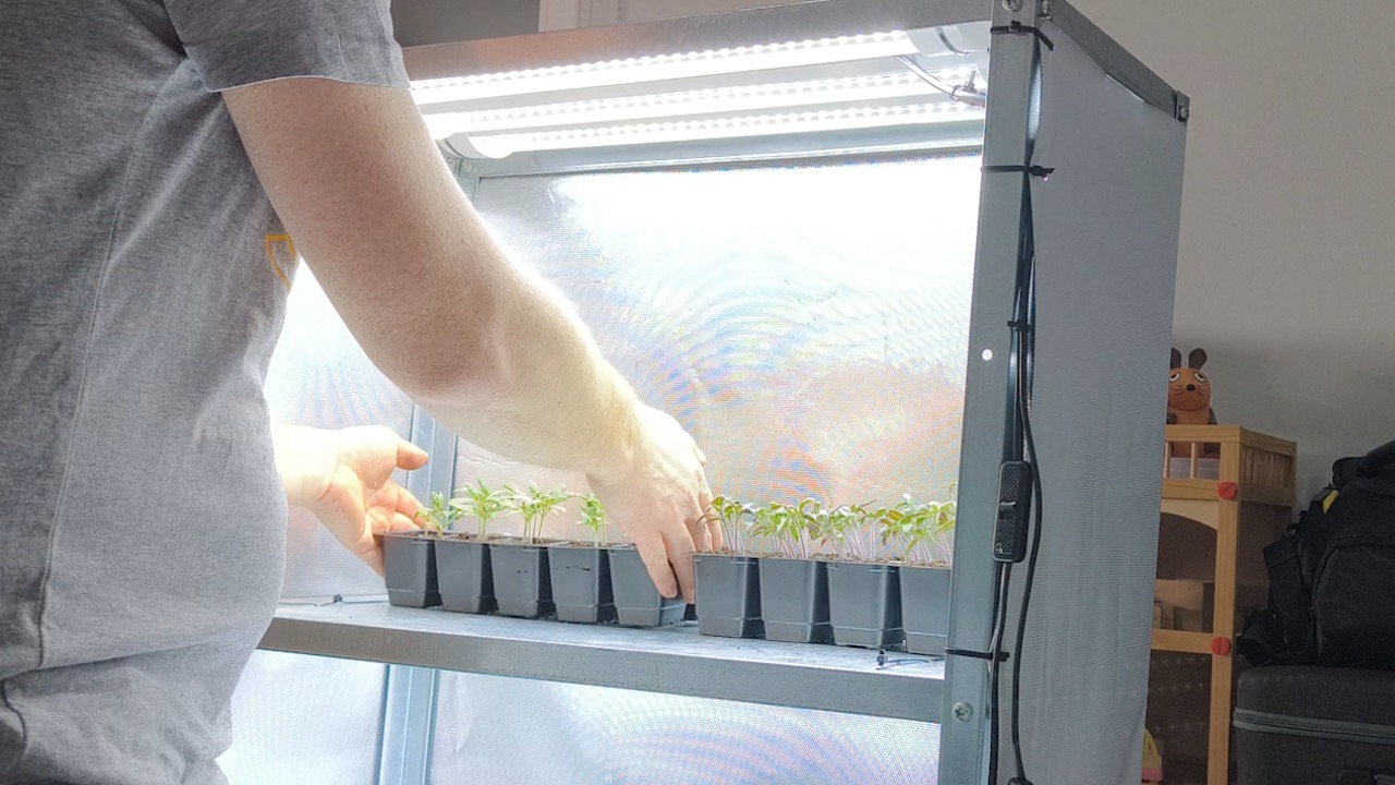domowy growbox