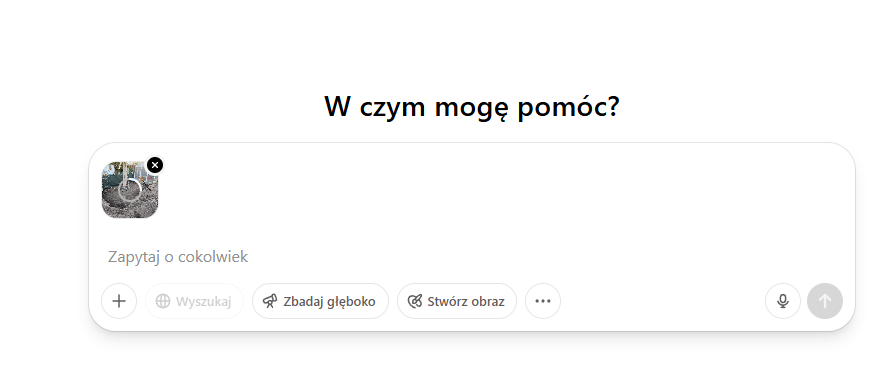 Jak wygenerować wizualizację ogrodu za pomocą Chat GPT? Krok po kroku.