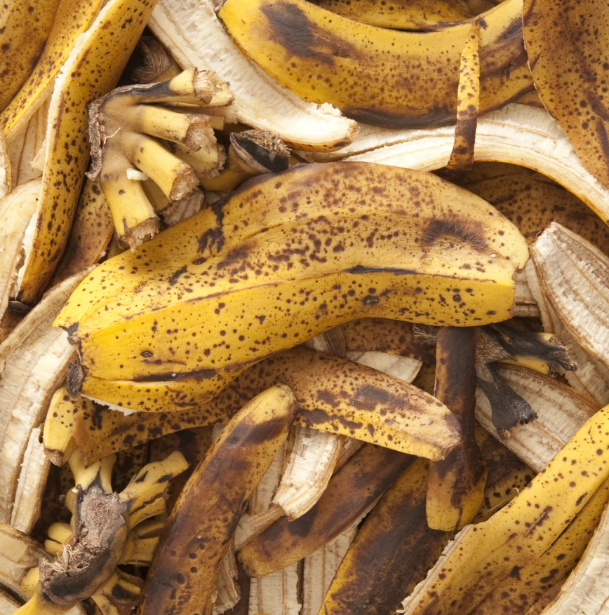 Gnojówka ze skórek banana – domowy nawóz dla kwitnienia i owoców