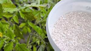 nawóz ze skorupek jaj, naturalny nawóz, ogród ekologiczny, uprawa warzyw, rośliny ozdobne, domowe nawozy, wapń w ogrodzie, ślimaki odstraszanie, kompostowanie, pH gleby, rośliny doniczkowe, rośliny kwasolubne, nawożenie organiczne