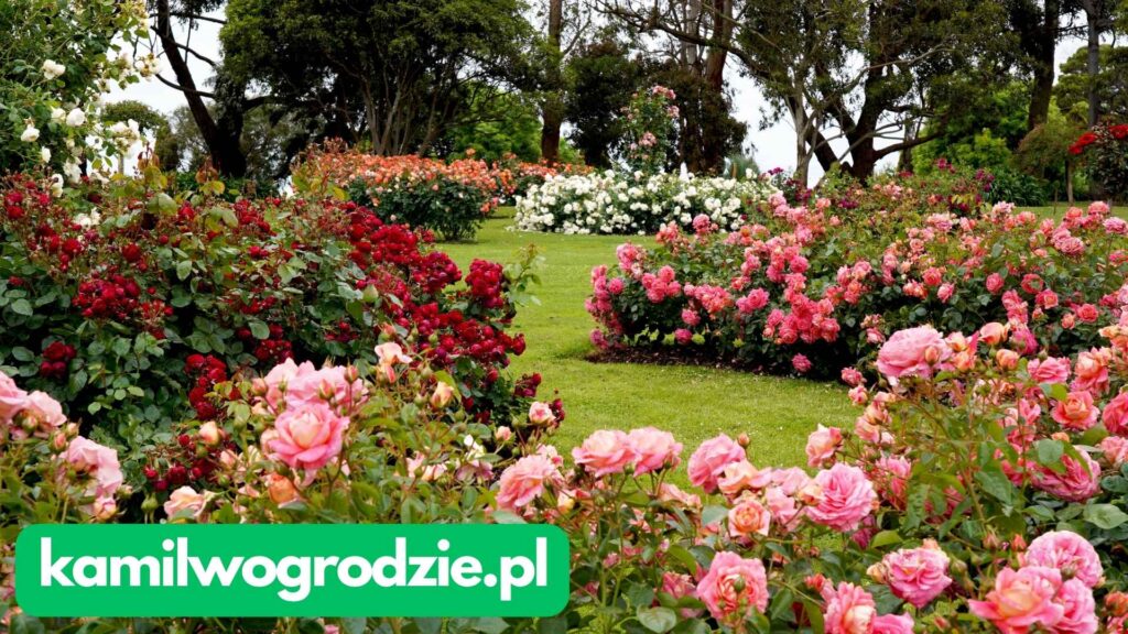 Ogród kwitnący przez cały rok - kompedium wiedzy