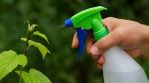 Ten domowy środek działa jak gaz łzawiący ale tylko na szkodniki