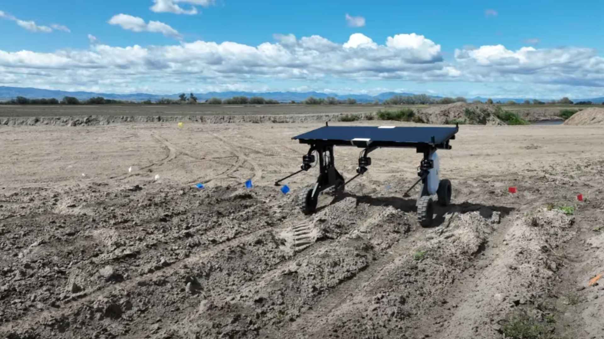 Roboty zamiast pestycydów? Tak wygląda przyszłość rolnictwa według Aigen