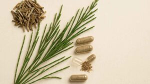 Skrzyp polny (Equisetum arvense) – naturalny eliksir na włosy, paznokcie i stawy. Właściwości, działanie i zastosowanie | foto. Kamil w Ogrodzie