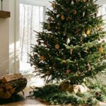 Jaka choinka pachnie? Najlepszy wybór na Boże Narodzenie | foto. Kamil w Ogrodzie