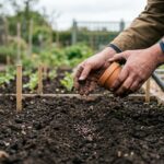 Co siejemy i sadzimy w kwietniu? Jakie warzywa i kwiaty? | foto. Kamil w Ogrodzie