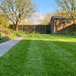 Trawnik po zimie – jak wykonać kompleksową pielęgnację krok po kroku? | foto. Kamil w Ogrodzie