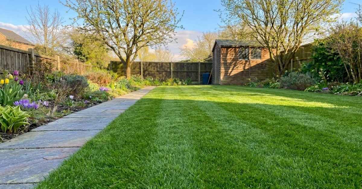 Trawnik po zimie – jak wykonać kompleksową pielęgnację krok po kroku? | foto. Kamil w Ogrodzie
