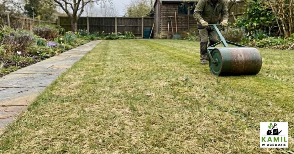 Aby usunąć wszelkie nierówności po zimie należy wykonać wałowanie trawnika. | foto. Kamil w Ogrodzie