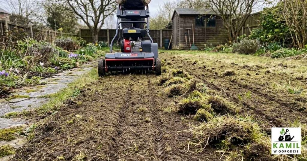 Wertykulacja trawnika to jeden z najważnejszych etapów pielęgnacji trawnika. | foto. Kamil w Ogrodzie